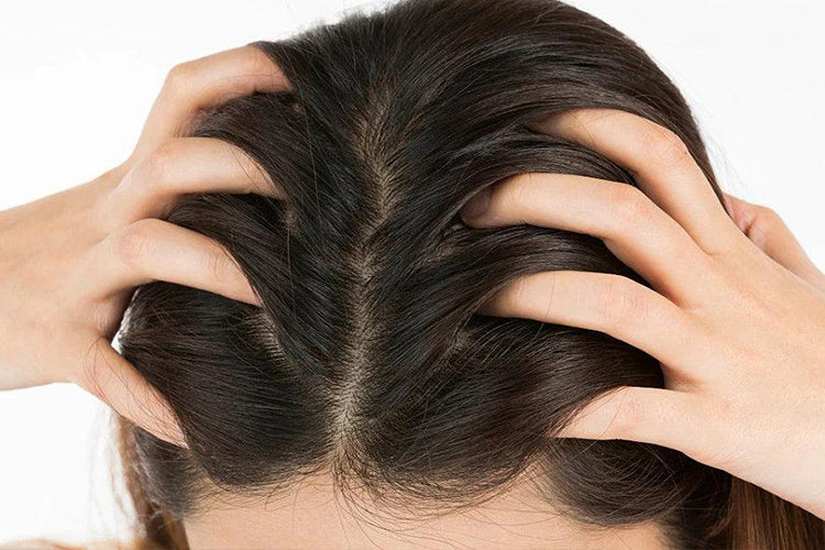 Can Massaging Your Scalp Help Reduce Hair Loss? - youlumistore